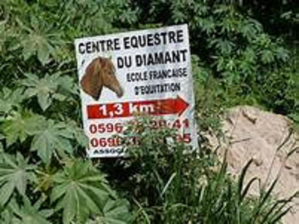 Appartement Rosbambou Les Pieds Dans L Eau Le Diamant Exterior photo